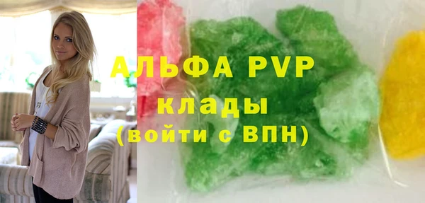 гидра Алексин