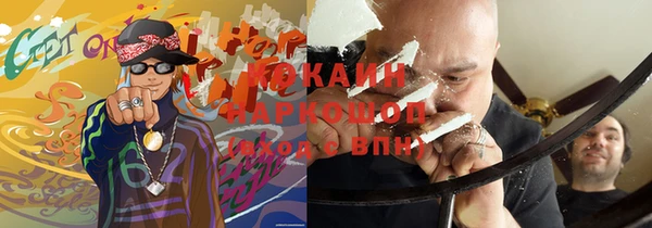 гидра Алексин