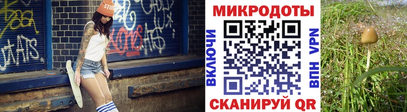 закладки  Сасово  Псилоцибиновые грибы Magic Shrooms 