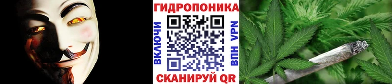 Марихуана семена как найти Сасово